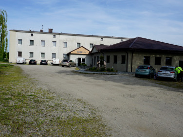Lokal Otmuchów