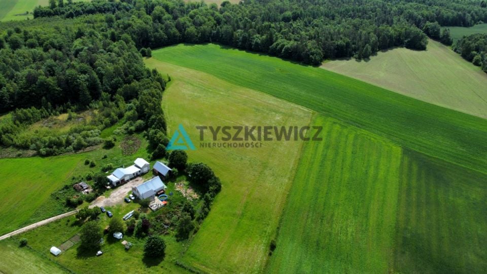 Zdjęcie 2