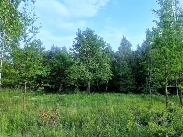 Działka Osowiec