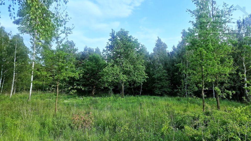 Działka Osowiec