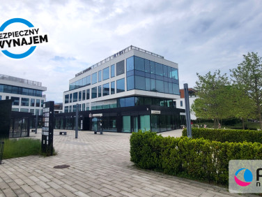 Lokal Gdynia