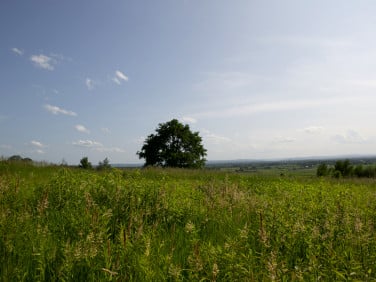 Działka budowlana Łukowa