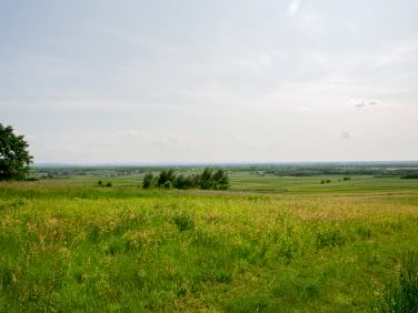 Działka budowlana Łukowa