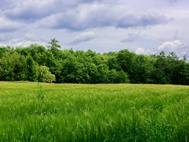 Działka Domosławice