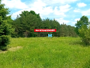 Zabudowana działka Pierzchnianka