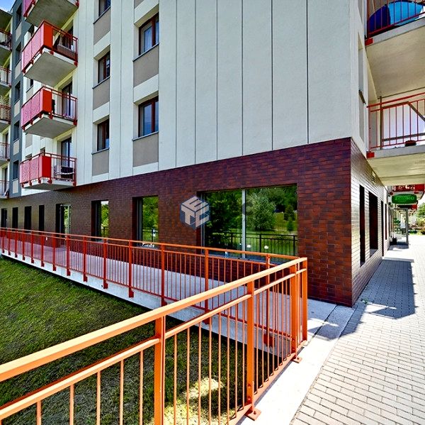 Lokal Kraków