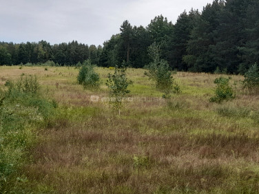 Działka budowlano-rolna Olszyc Włościański