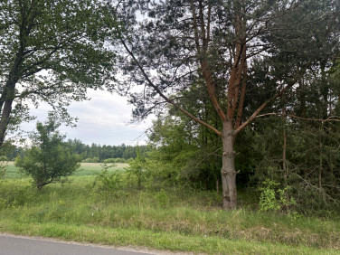 Działka inna Ldzań