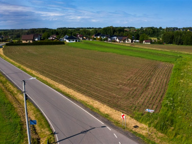 Działka Osiek