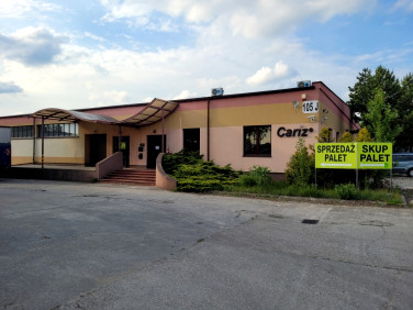 Lokal Łódź wynajem