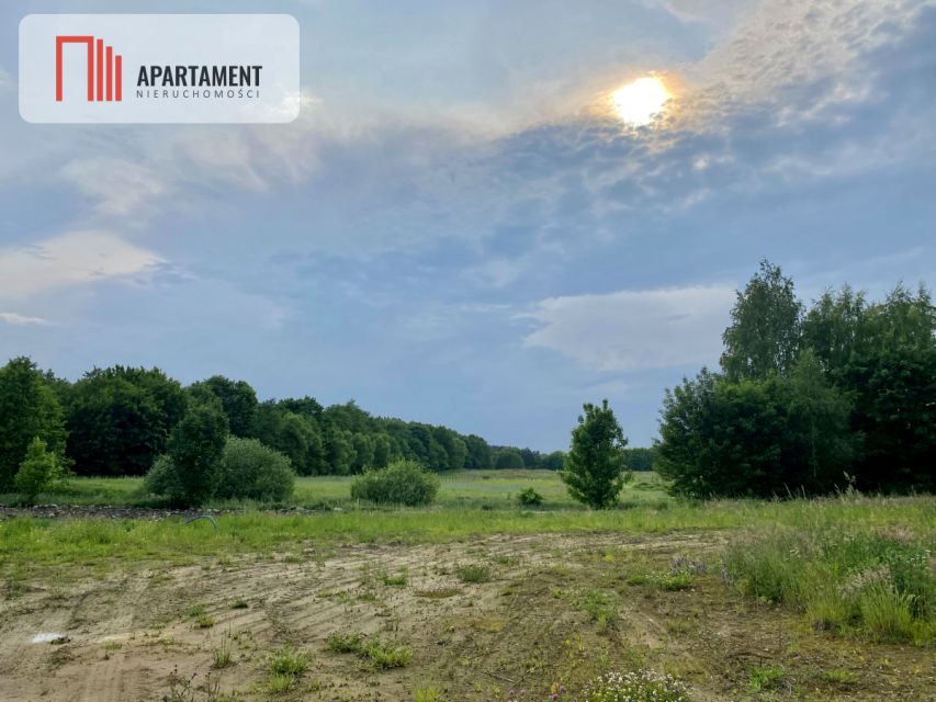 Działka budowlana Gołębiewo Wielkie