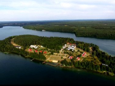 Działka przy lesie