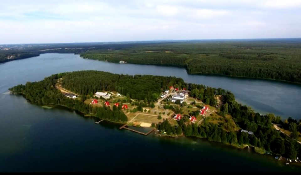 Działka przy lesie