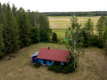 Działka przy lesie