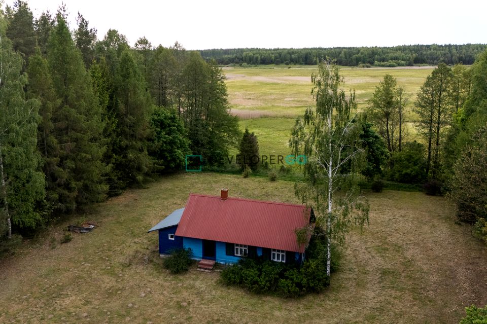 Działka przy lesie