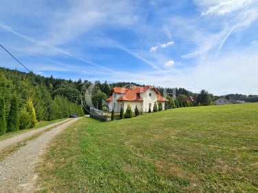 Dom Jastrzębia