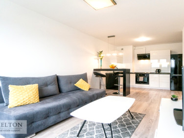 Mieszkanie apartamentowiec wynajem