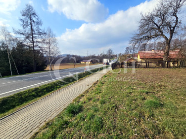 Działka Kamienica Dolna