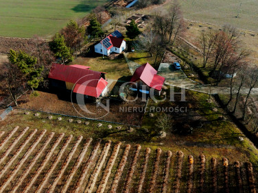 Dom Dąbrówki Breńskie
