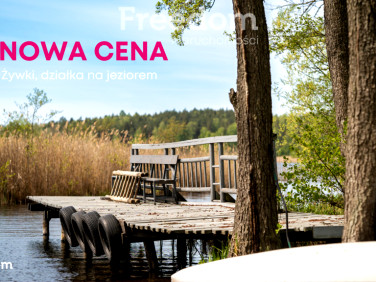 Działka rekreacyjna Żywki sprzedam