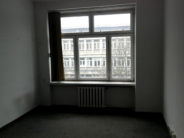 Lokal Kraków