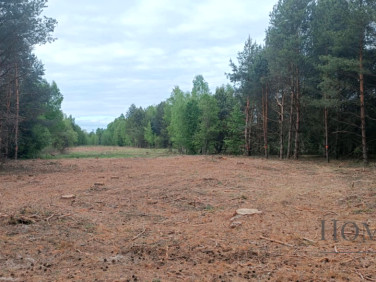 Działka Leoncin