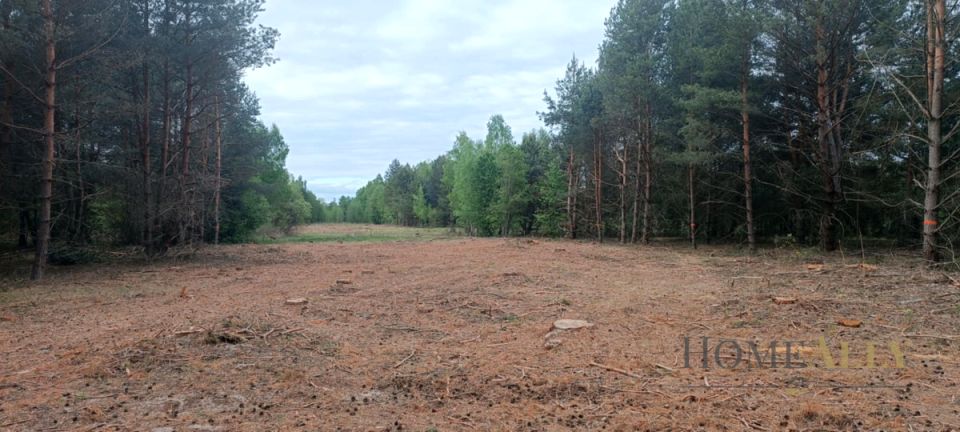 Działka Leoncin