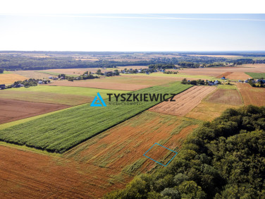 Działka rolna sprzedam