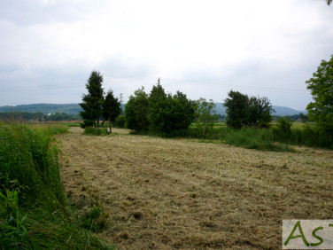 Działka budowlana Bolechowice