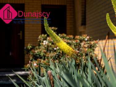 Dom Mława sprzedaż