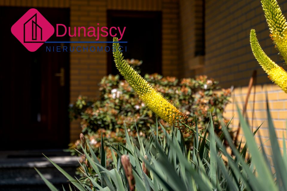 Dom Mława sprzedaż