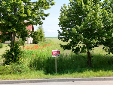 Działka rolna Smętowo Graniczne