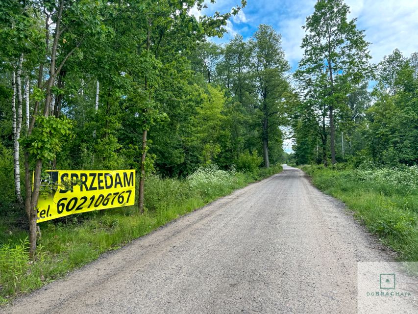 Działka budowlana Wola Rowska