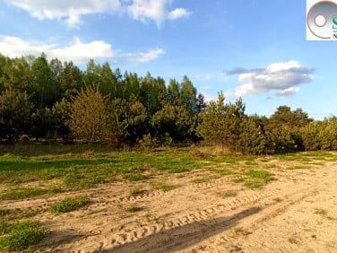 Działka przy lesie