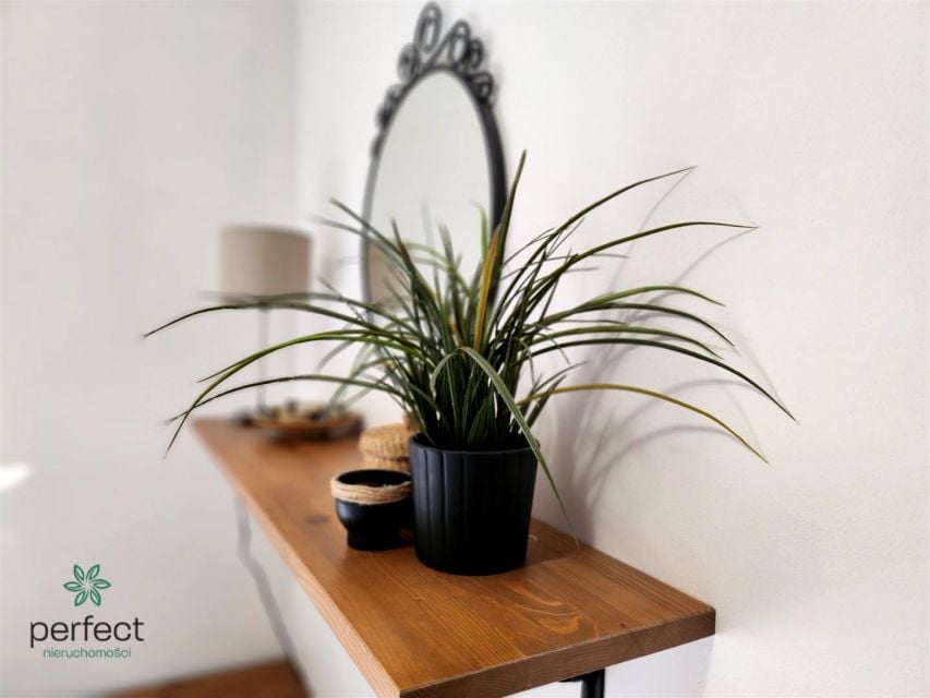 Apartament – pohled 6