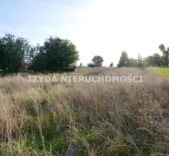 Zdjęcie 2