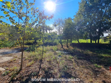 Działka budowlano-rolna Szałsza sprzedam