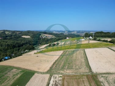 Działka Wielopole Skrzyńskie