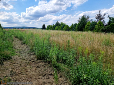 Działka budowlana Wilków sprzedam