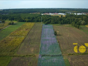 Działka Ciechocinek