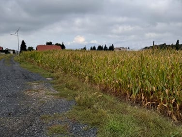 Działka usługowa Leszno