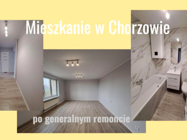 Mieszkanie Chorzów sprzedaż