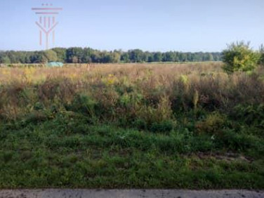 Działka budowlana Niemstów sprzedam