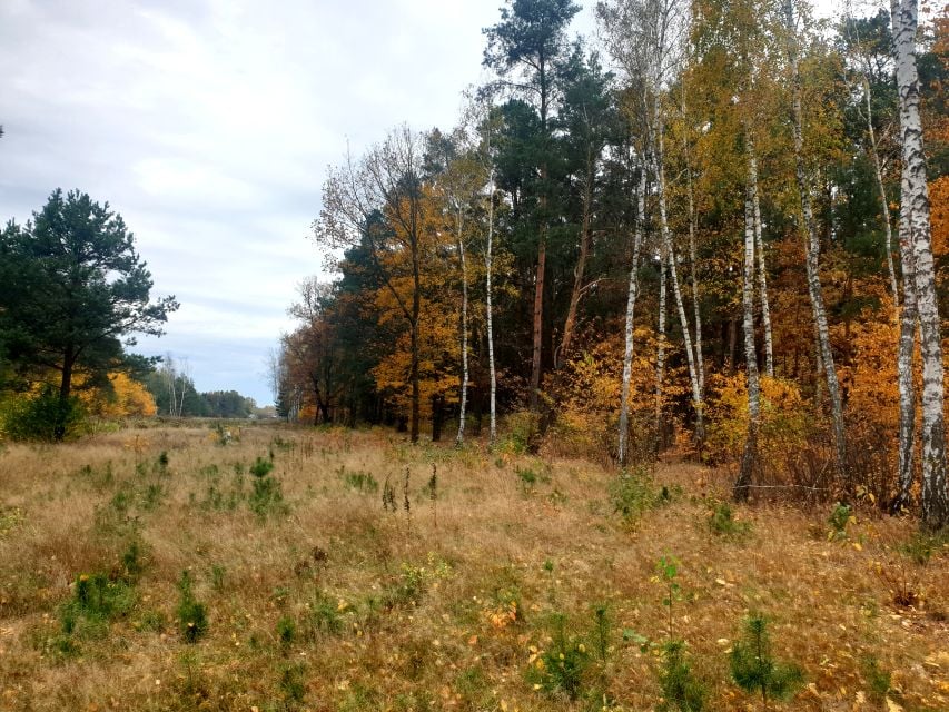 Działka budowlana Żanęcin