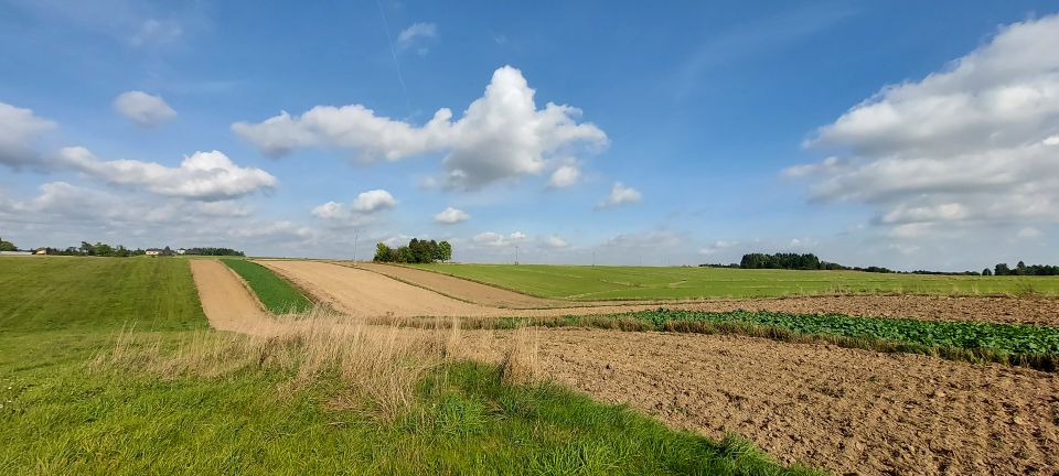 Działka Wolbrom