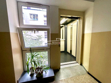 Lokal Warszawa