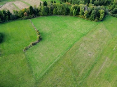 Działka Posadowa Mogilska