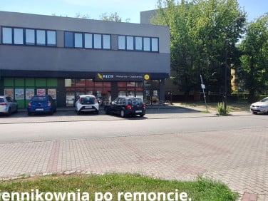 Lokal Gliwice wynajem