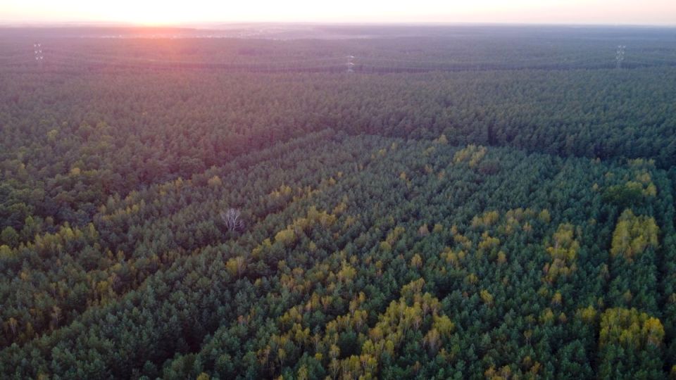 Działka budowlana Trzcianka