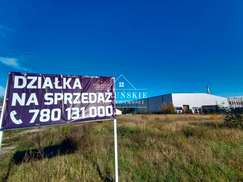 Zdjęcie 3